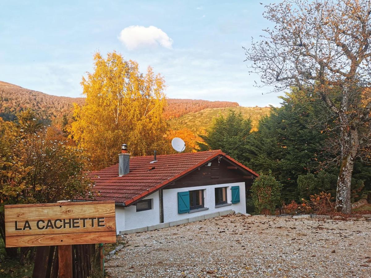 La Cachette Du Ballon - Cote-Montagnes Altenbach Exterior foto